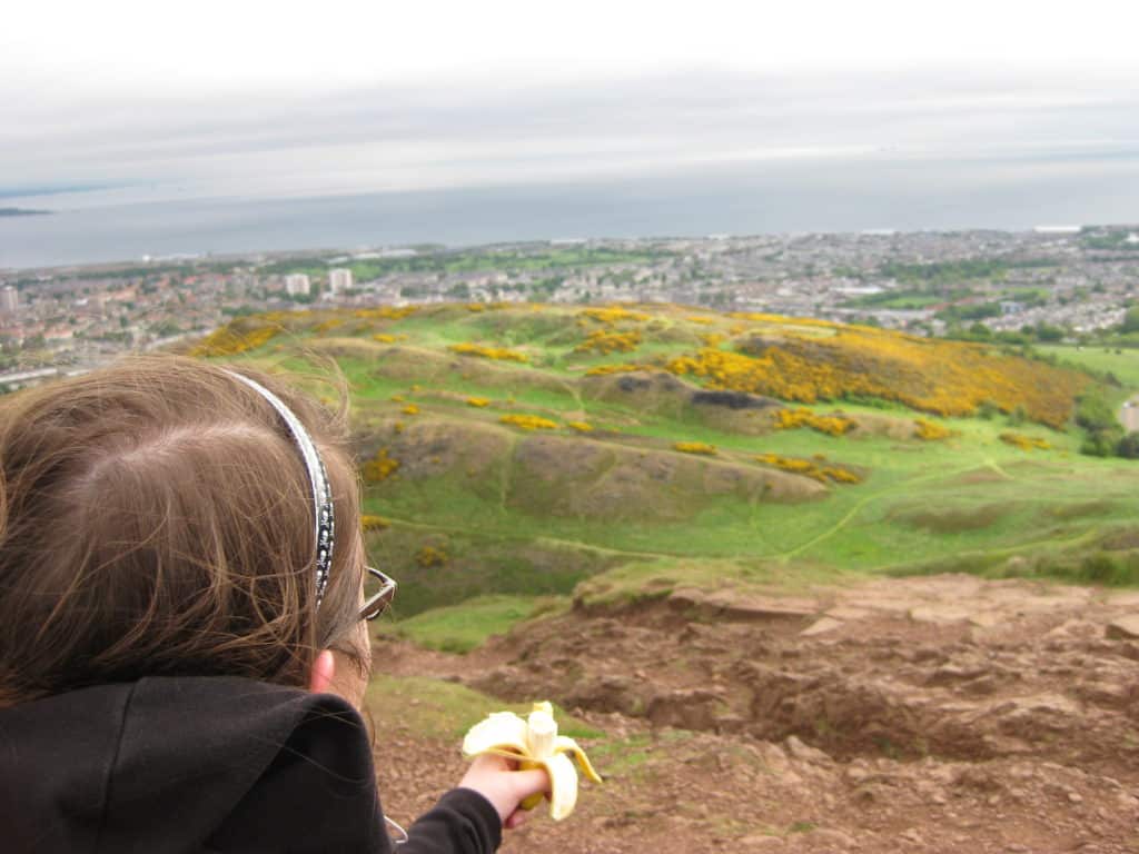 Wandering Crystal looking out over an English seaside city